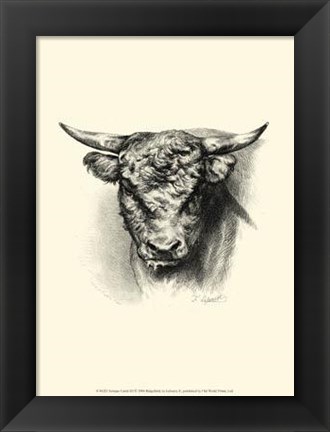 Framed Antique Cattle III Print