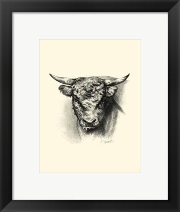 Framed Antique Cattle III Print