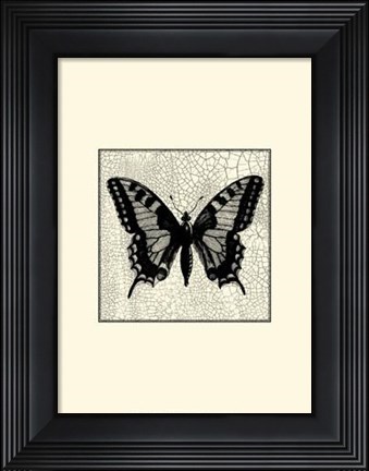 Framed Classical Butterfly I Print