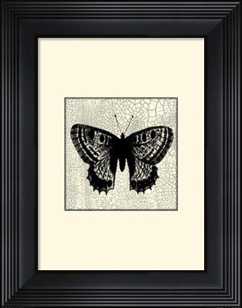 Framed Classical Butterfly II Print