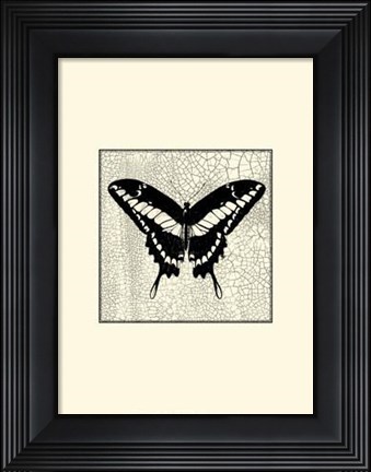 Framed Classical Butterfly IV Print
