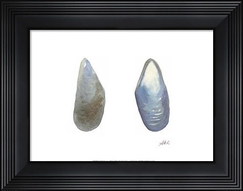 Framed Tidal Treasure III Print