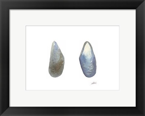 Framed Tidal Treasure III Print