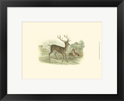 Framed Petite Red Deer Print