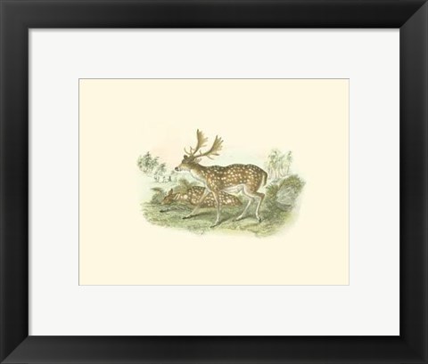 Framed Petite Fallow Deer Print