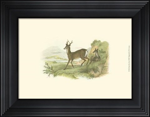 Framed Petite Row Deer Print