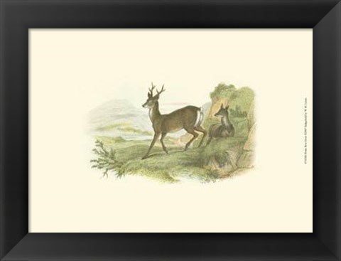 Framed Petite Row Deer Print