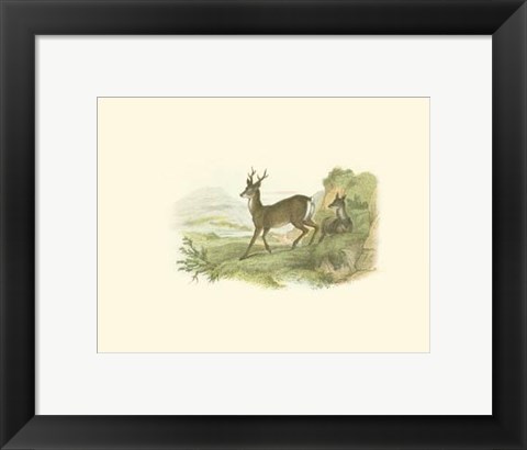 Framed Petite Row Deer Print
