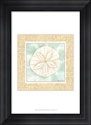 Framed Ocean Sanddollar Print