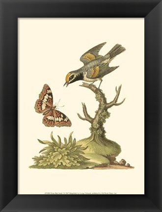 Framed Petite Bird Study I Print