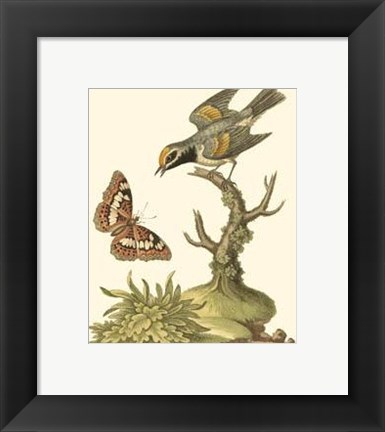 Framed Petite Bird Study I Print