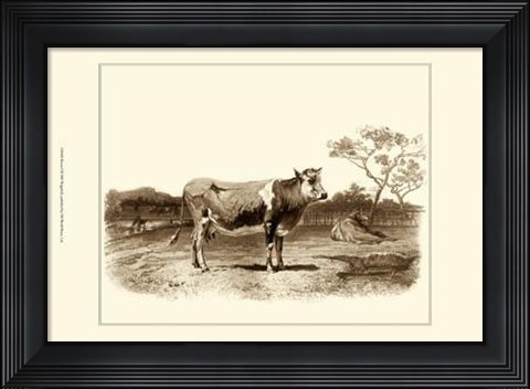 Framed Bovine I Print