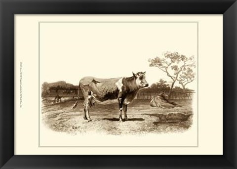 Framed Bovine I Print