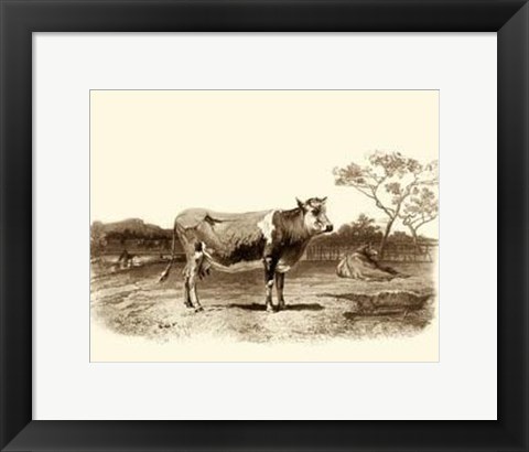Framed Bovine I Print