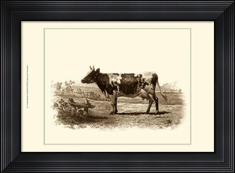 Framed Bovine II Print
