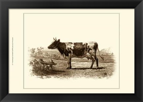Framed Bovine II Print