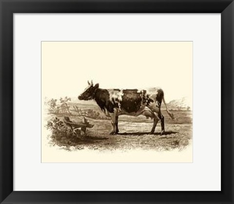 Framed Bovine II Print