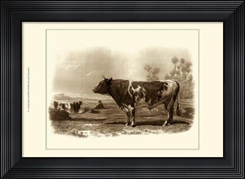 Framed Bovine III Print
