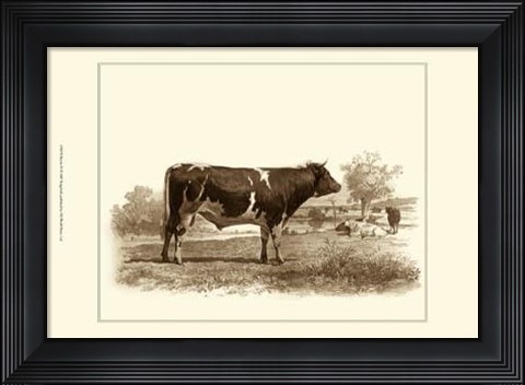 Framed Bovine IV Print