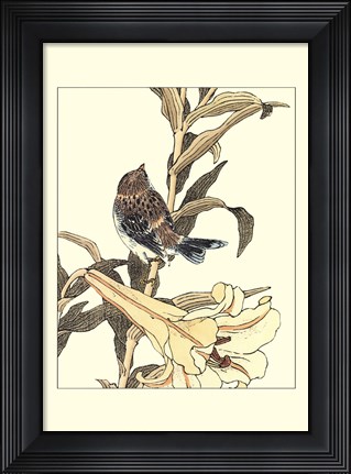 Framed Oriental Bird On Branch II Print