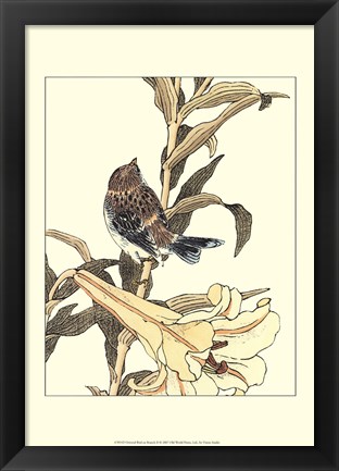 Framed Oriental Bird On Branch II Print