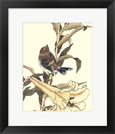 Framed Oriental Bird On Branch II Print