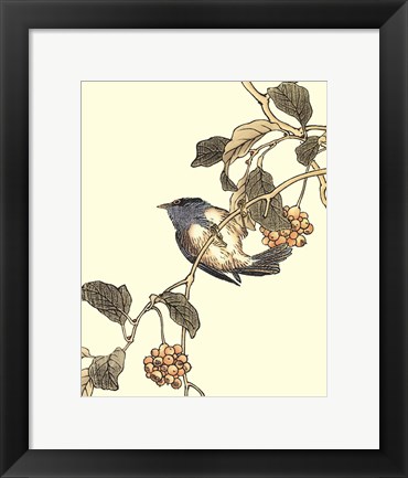 Framed Oriental Bird On Branch III Print