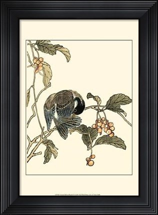 Framed Oriental Bird On Branch IV Print