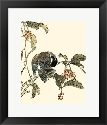 Framed Oriental Bird On Branch IV Print