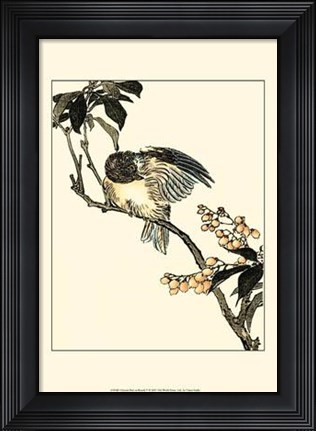 Framed Oriental Bird On Branch V Print