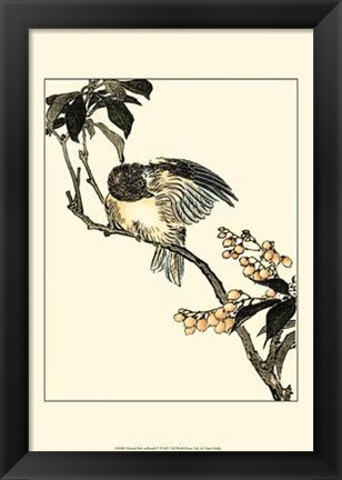 Framed Oriental Bird On Branch V Print