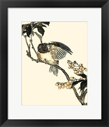 Framed Oriental Bird On Branch V Print