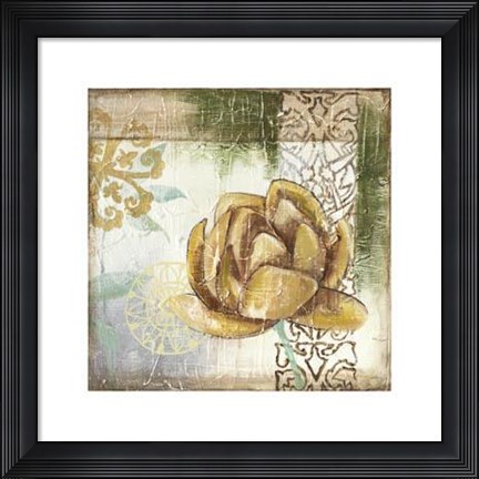 Framed Globeflower Fresco II Print
