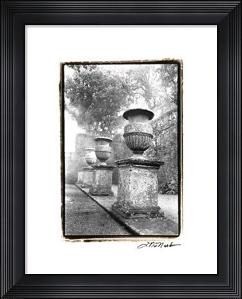 Framed Italian Garden II Print