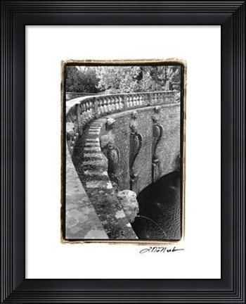 Framed Italian Garden III Print