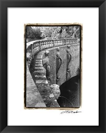 Framed Italian Garden III Print