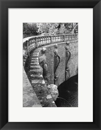 Framed Italian Garden III Print