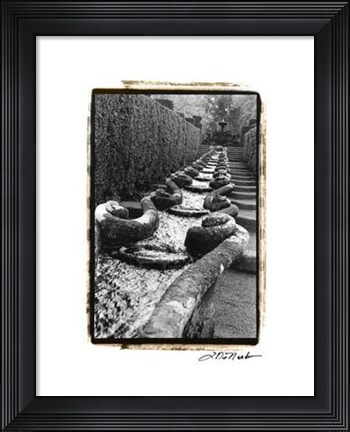 Framed Italian Garden IV Print