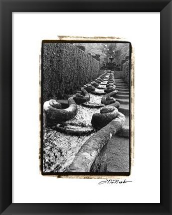 Framed Italian Garden IV Print
