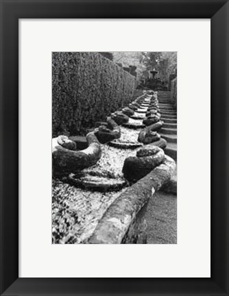 Framed Italian Garden IV Print