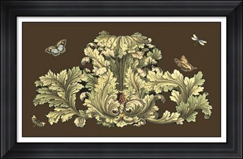 Framed Nature&#39;s Splendor On Chocolate I Print