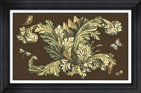 Framed Nature&#39;s Splendor On Chocolate II Print