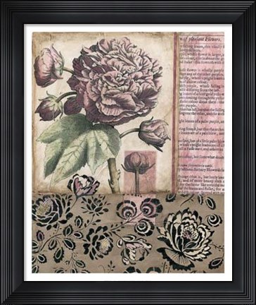 Framed Cottage Rose I Print