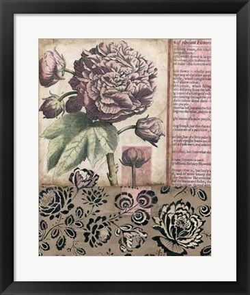 Framed Cottage Rose I Print