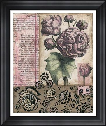 Framed Cottage Rose II Print