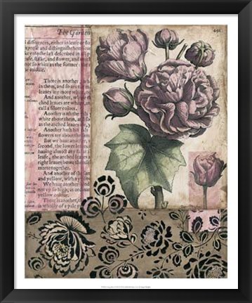 Framed Cottage Rose II Print