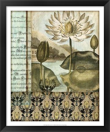 Framed Elegant Water Lily I Print