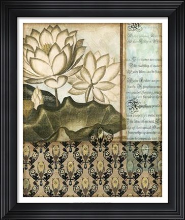 Framed Elegant Water Lily II Print
