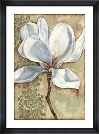 Framed Magnolia Majesty I Print