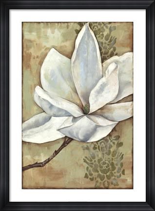 Framed Magnolia Majesty II Print